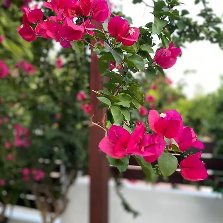 Σπίτι διακοπών 